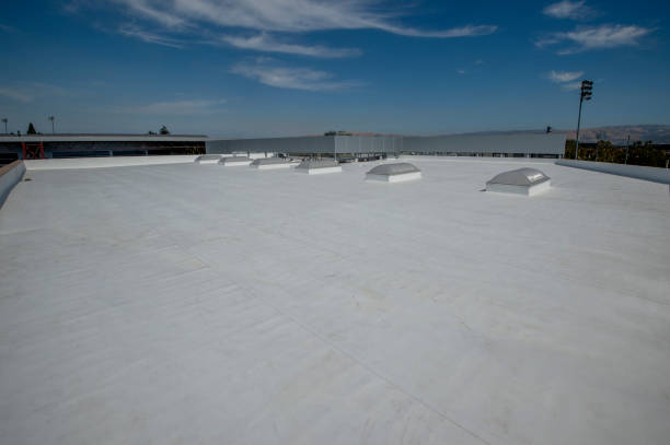 Best Steel Roofing  in Smithville Sanders, IN