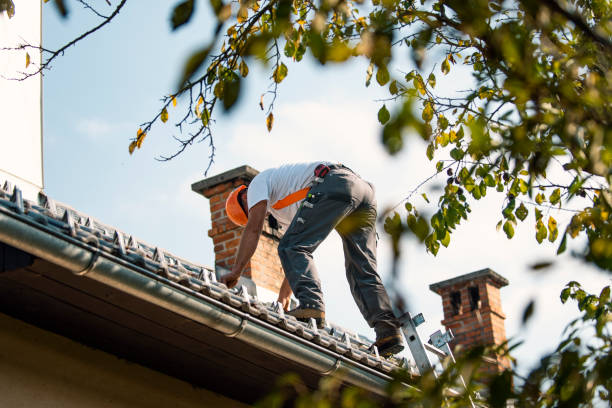 Roof Coating Services in Smithville Sanders, IN